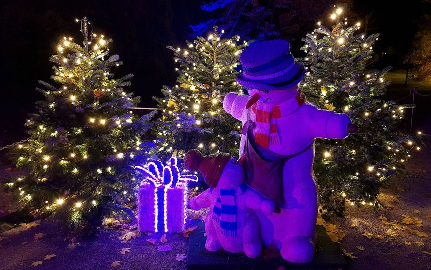 Rund eine Million Lichter brachten bis 5. Januar den Pillnitzer Schlosspark zum Leuchten. Foto: Büttner