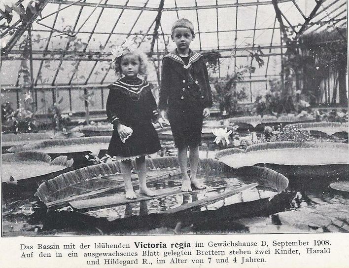 Blick in einen historischen Gartenführer aus dem Jahr 1910, im Bild Harald und Hildegard R., 7 und 4 Jahre alt. Foto: Botanischer Garten der TU Dresden