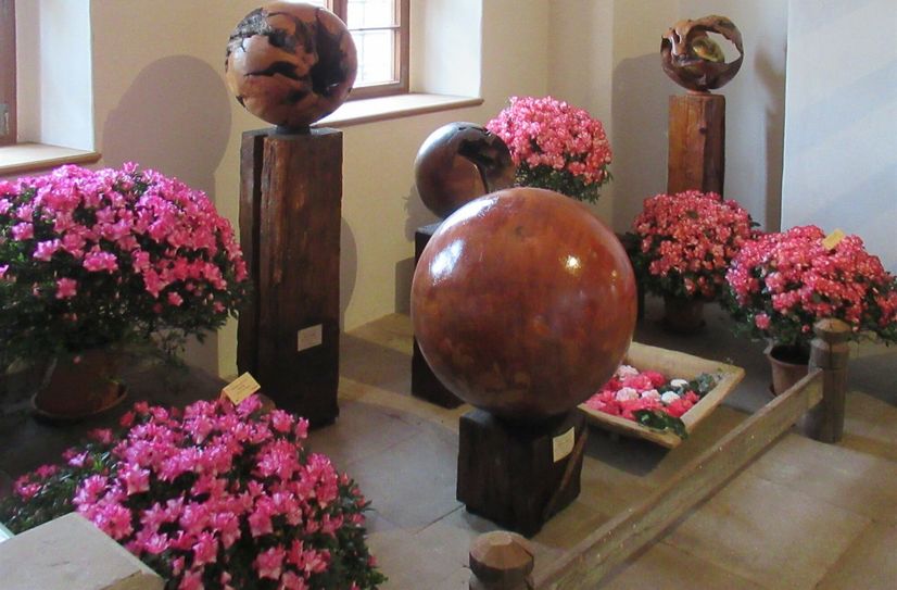 Azaleenschau im Schloss mit Wurzelkugeln von Peter Bortig.