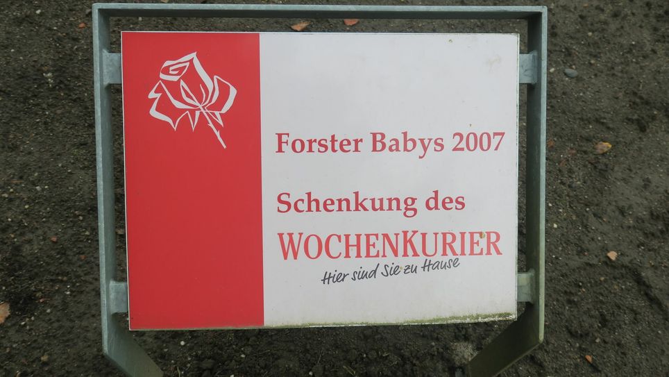 Im Jahr 2007 begann der WochenKurier mit der Pflanzaktion.