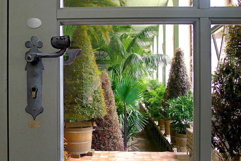 Blick in die Orangerie des Pillnitzer Schlossparks.