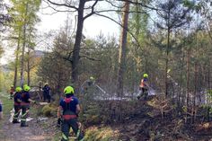 Kameraden der umliegenden Feuerwehren löschen den Waldbrand bei Gohrisch.