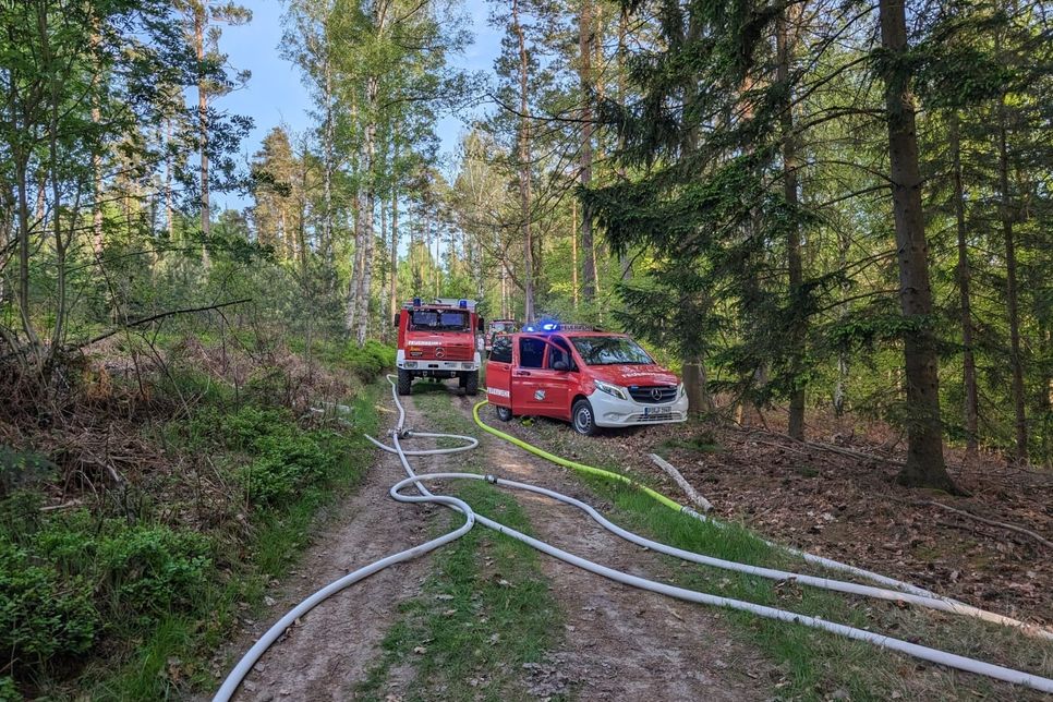 Mehrere Freiwillige Feuerwehren der Region beteiligten sich an der Löschung des Waldbrandes.