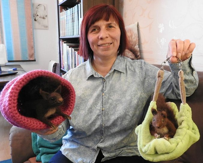 Jaqueline Gräfe ist leidenschaftliche Eichhörnchen-Retterin. Foto: Pönisch