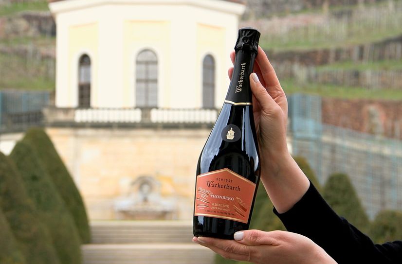 Mit Gold prämiert: 2019er Riesling brut nature.
Foto: Schloss Wackerbarth