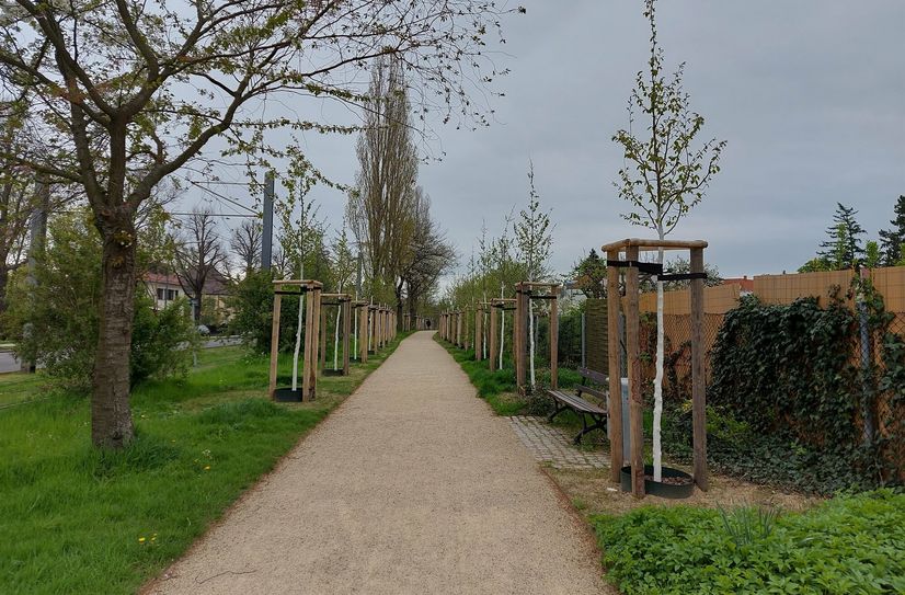 Die neu bepflanzte Westendpromenade lädt wieder zum Spazierengehen ein.