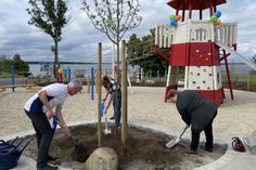 Pflanzen zur Spielplatzeröffnung am Seestrand Lieske einen Apfelbaum (vo.li.na.re.): Verbandsvorsteher Dipl.-Ing. Detlev Wurzler, Anja Bröker aus der Verwaltung des Amtes Altdöbern und Simone Abt, Bürgermeisterin der Gemeinde Neu-Seeland.
