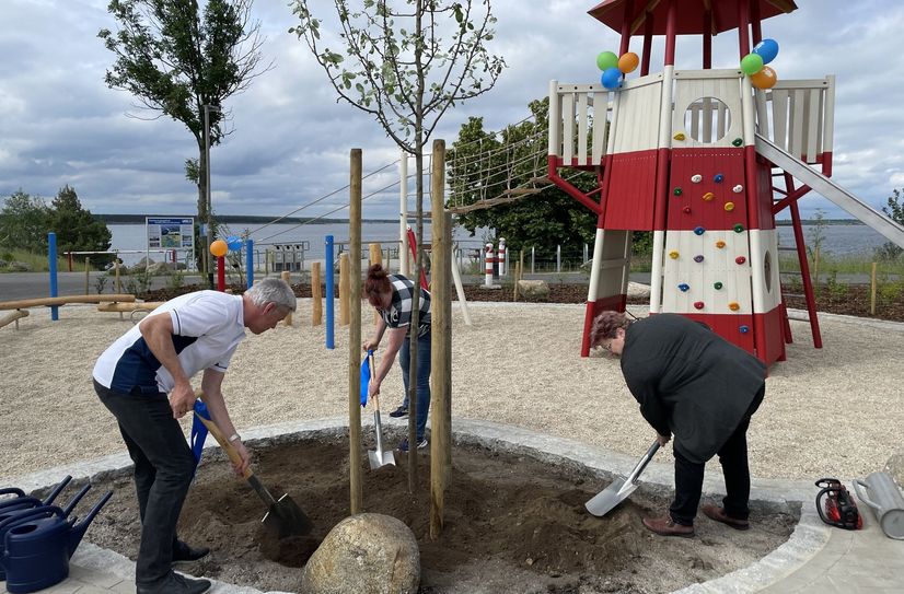 Pflanzen zur Spielplatzeröffnung am Seestrand Lieske einen Apfelbaum (vo.li.na.re.): Verbandsvorsteher Dipl.-Ing. Detlev Wurzler, Anja Bröker aus der Verwaltung des Amtes Altdöbern und Simone Abt, Bürgermeisterin der Gemeinde Neu-Seeland.