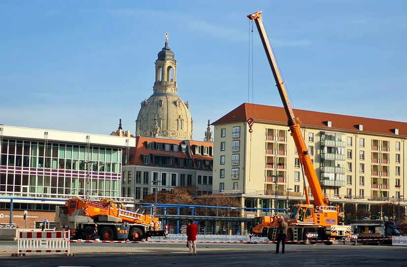Impressionen vom Aufstellen der Küstentanne...