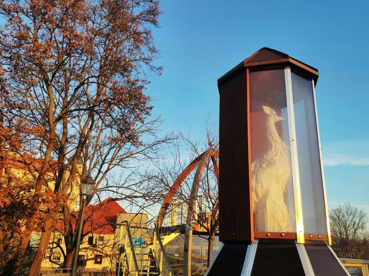 Der Kasuar im Kändlerpark in seinem Winterquartier. Foto: Stadt Meißen