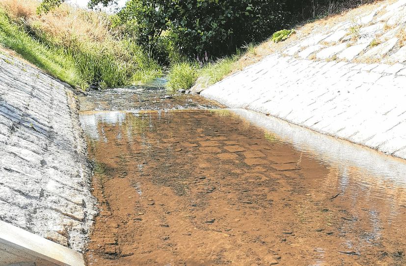 Der Pegel bei Stroga zeigte in seiner »trockendsten Periode« in diesem Sommer nur noch einen Wasserstand von zwölf Zentimeter an.