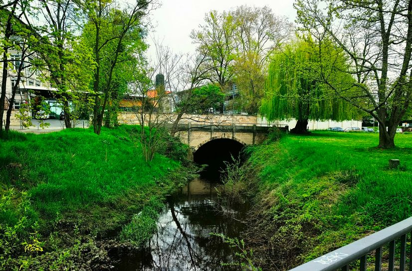 Die Prießnitz mündet schließlich in die Elbe.