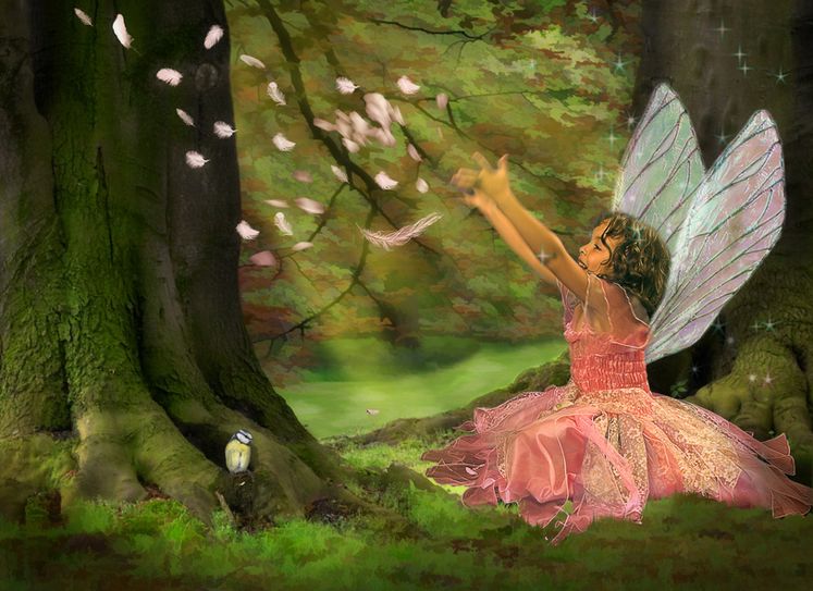 Foto: fotolia