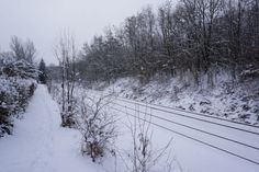 Foto: lausitznews