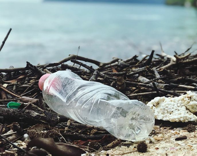 Der Müll am Elbufer soll verschwinden. Foto: Pexels