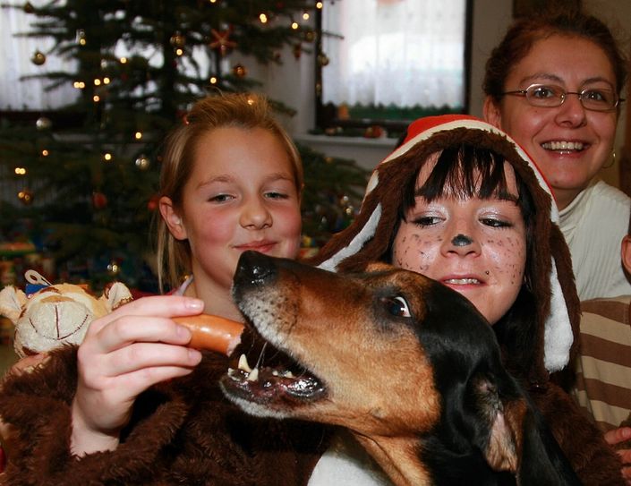 Tierheimweihnacht in Pirna-Krietzschwitz. Foto: D. Förster