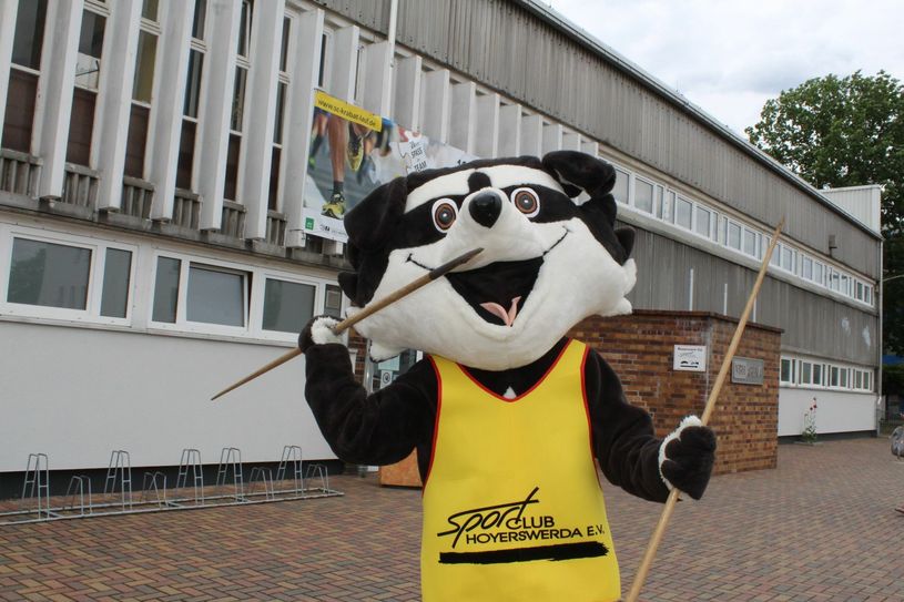 Für den Sportclub wäre die erfolgreiche Spendenaktion ein Volltreffer.  Das würde auch das SC - Maskottchen freuen, dass sich symbolisch mit einem zerschlissenen Speer in Pose setzt. Foto: Silke Richter