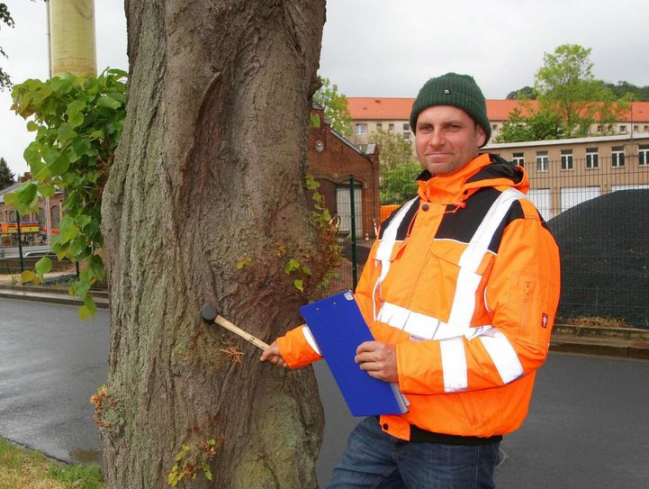 Dipl.-Forstwirt Matthias Karich ist als Baumkontrolleur in Meißen unterwegs. Foto: Farrar
