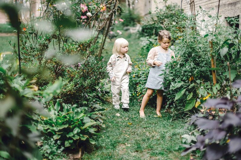 Ein Tipp für Jung und Alt gleichermaßen: Am 10. und 11. Juni bieten die »Offenen Gärten im Elbe-Elster-Land« die Chance, auf Entdeckungsreise bei anderen Hobbygärtnern zu gehen.   Foto: Allan Mas/pexels.com
