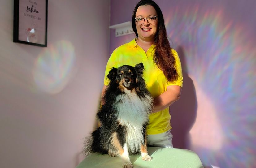 Sheltie Yuzo gehört zur Praxis dazu. Wer mag kann hier auch mit "Hund" plaudern.