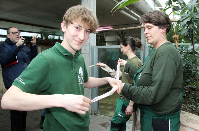 Messen und wiegen von Zoobewohnern ist gar nicht so einfach. Neben Kornnattern wurden auch zwei Seidenhühner gecheckt.