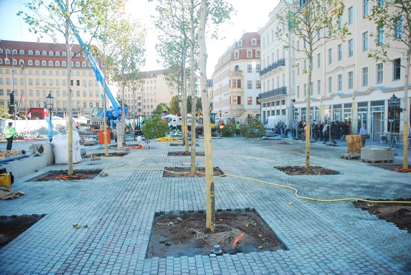 Bis Freitag (19. Oktober) sollen alle 28 Bäume gepflanzt sein. Fotos: Schiller