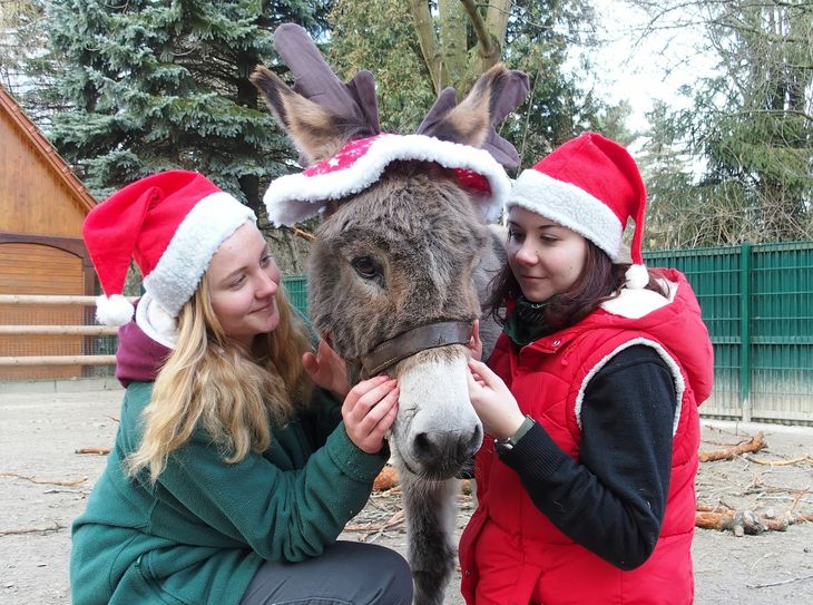 Esel Willi mit Michelle Werner (l.) und Christina Helle (r.) - absolvieren im Tierpark seit September ein „Freiwilliges Ökologisches Jahr“ (FÖJ). Foto: Regina Berger