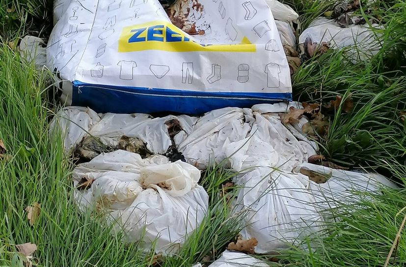 Zwei der Funde von Bianka Sieber: Beutel mit Schlachtabfällen, die am Ortsausgang Jauernick-Buschbach einfach auf eine Wiese geworfen worden waren und Müll, der an der Plattenstraße zwischen Jauernick und Pfaffendorfstand.