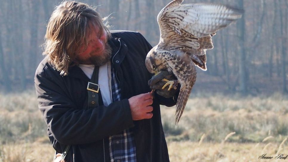 ...oder lieber zur Greifvogel-Show?