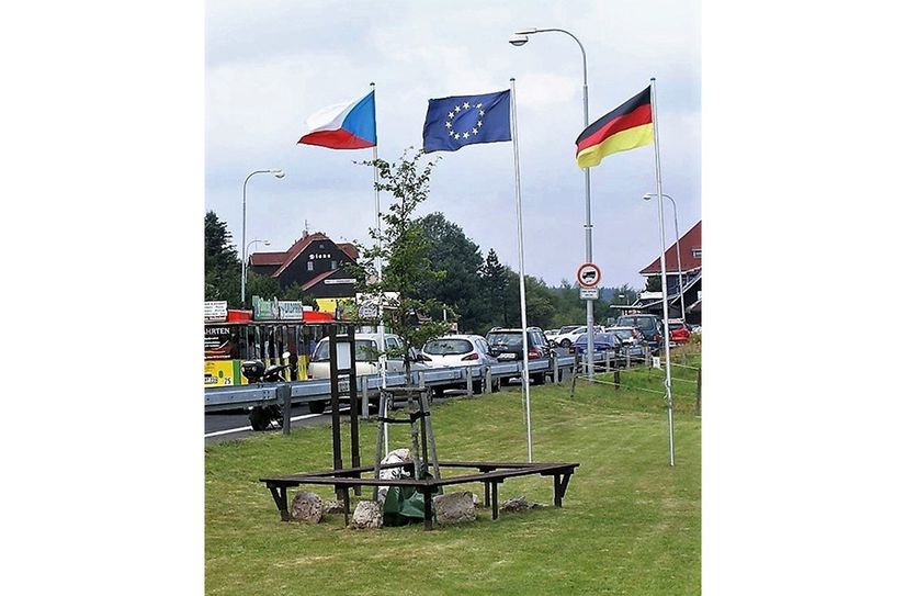 Die Grenzbuche, als sie im Jahr 2007 gepflanzt wurde.