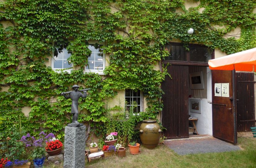 Der wilde Wein an der Fassade der Galeriescheune hat sich erholt.