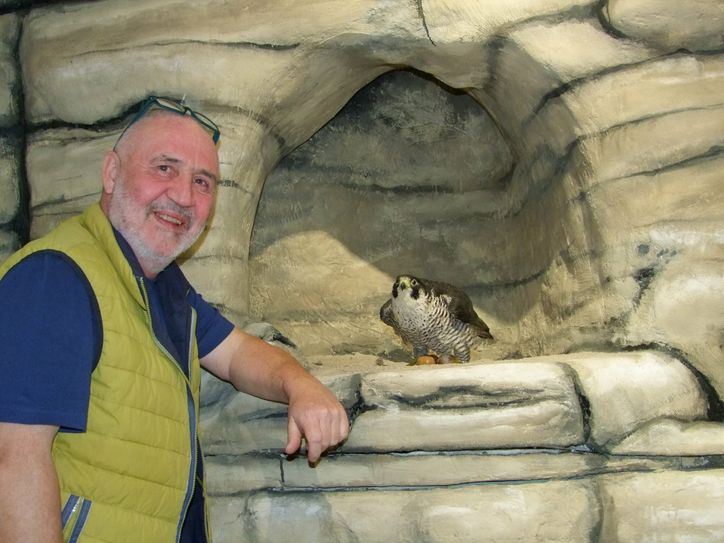 Olaf Zinke mit einem Wanderfalken-Exponat.
 Foto. Rainer Könen
