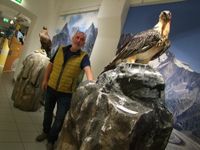Zwischen Bartgeier (r.) und Steinadler: der stellvertretende Museumsleiter Olaf Zinke. Foto: Rainer Könen