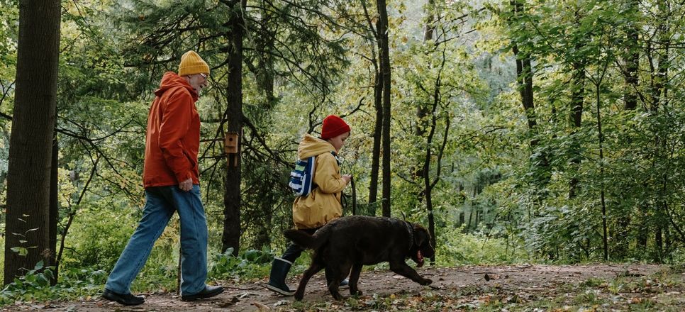 Am Sonntag können Jung und Alt gemeinsam auf Wandertour gehen, um neben ihrer Fitness auch den Orientierungssinn zu testen.