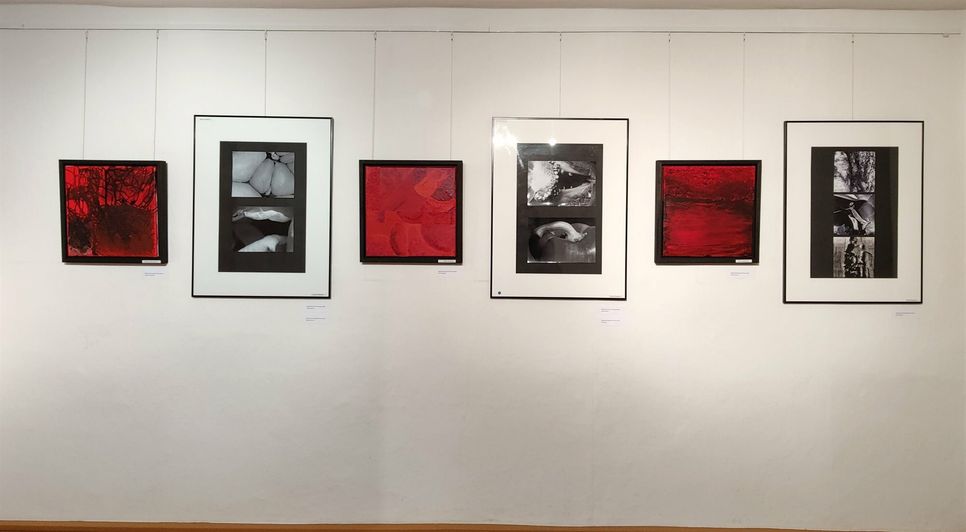 Ausstellungsimpressionen der 13. Amateurkunst-Ausstellung.