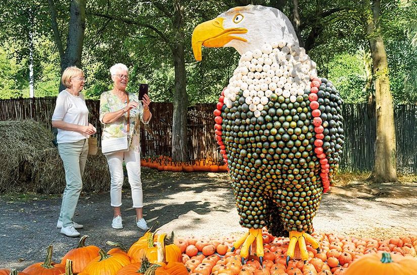 XXL-Fotomotive bei Kürbishausen.