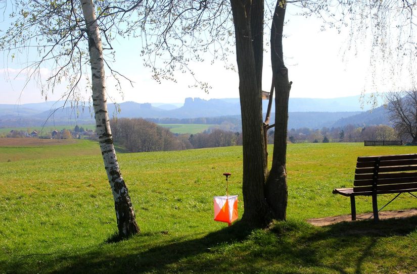 Diese orange-weißen Streckenposten müssen die Läufer finden.
