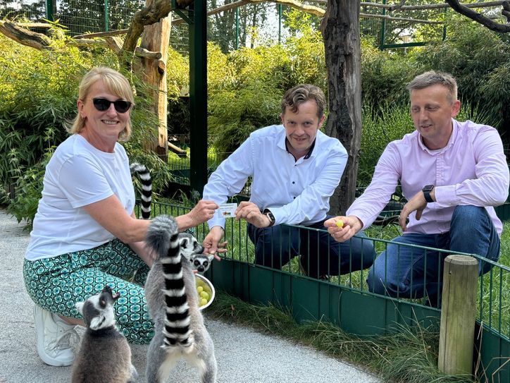 Mal dem Affen Zucker geben: stimmt in diesem Fall nicht ganz. Die exotischen Kattas aus dem Tierpark Senftenberg sind Halbaffen und bekommen Weintrauben. Eine Gewinnübergabe mal anders erlebte Silke Stabler im Variland. Bürgermeister Andreas Pfeiffer (Mitte) und Geschäftsführer Tino Jörke (r.) mussten bei der Affenbande schnell sein und Ablenkungsmanöver einbauen.