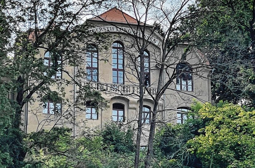 Jugendliche aus anderen Ländern bauen an der Jahnhalle weiter.