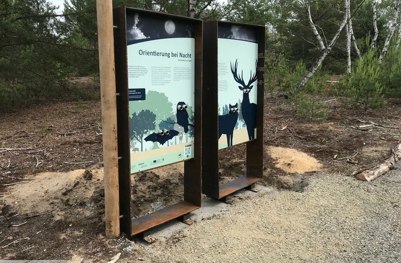 Neue Ausstellungselemente am neuen Sternenpfad im Wildnisgebiet Lieberose.