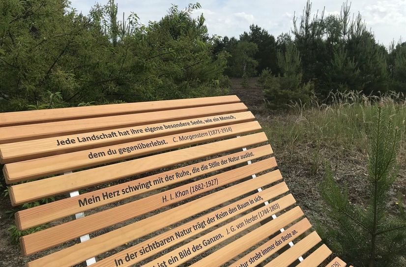 Wildnisliegen gehören auch zu den neuen Ausstellungselementen am neuen Sternenpfad im Wildnisgebiet Lieberose.