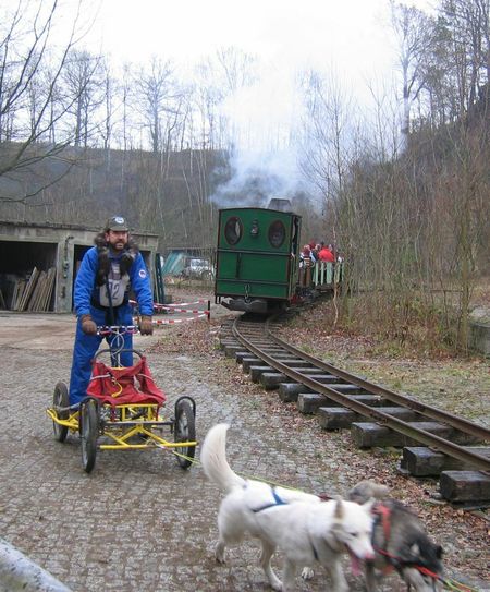 Foto: Schlittenhundesportverein Sachsen e.V.
