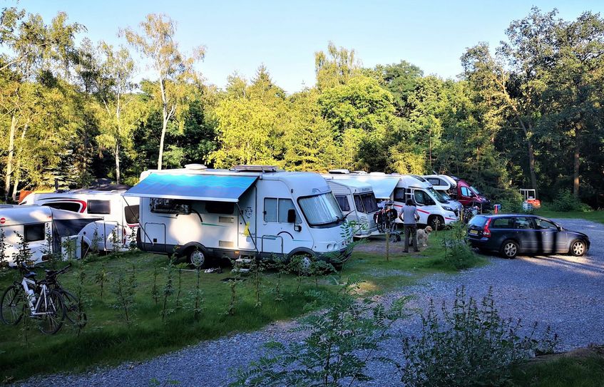 Die 20 neuen Stellplätze, idyllisch angelegt im Birkenwald am Bilzbad, wurden im Juli dieses Jahres in Betrieb genommen. Foto: sbf GmbH