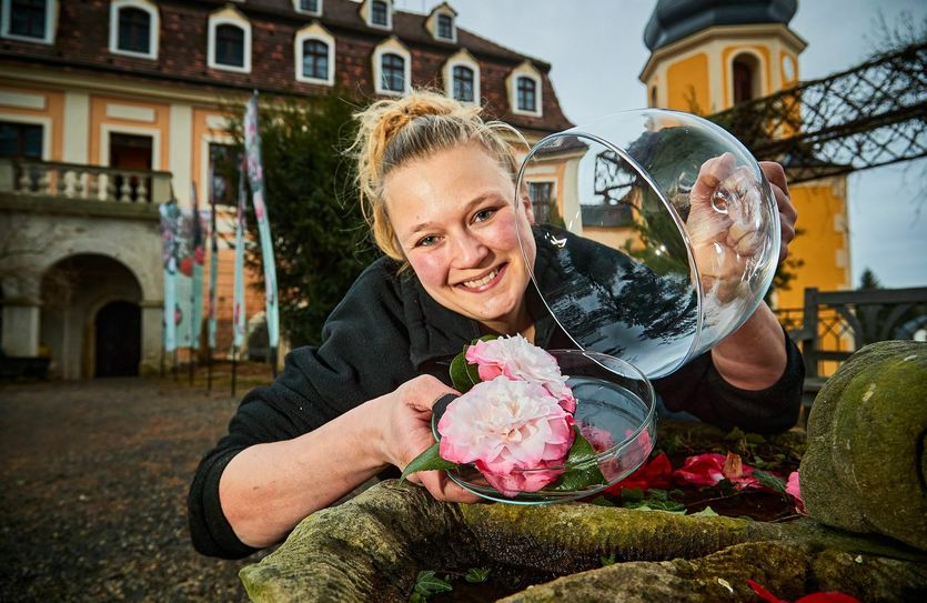 Mitarbeiterin Sylvia Bär aus Dresden präsentiert die Siegerblüte »Camellia japonica ‘Nuccio‘s Pearl‘«. Foto: M. Förster