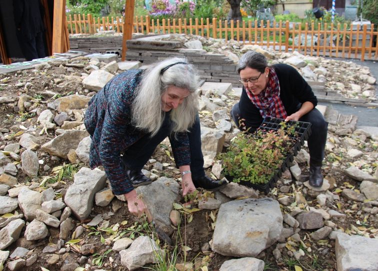 Barbara Ditsch (Leiterin Botanischer Garten) und Christiane Mennicke-Schwarz (v.l.) setzen die letzten der rund 350 Pflanzen in die neue Anlage ein. Foto: Pönisch