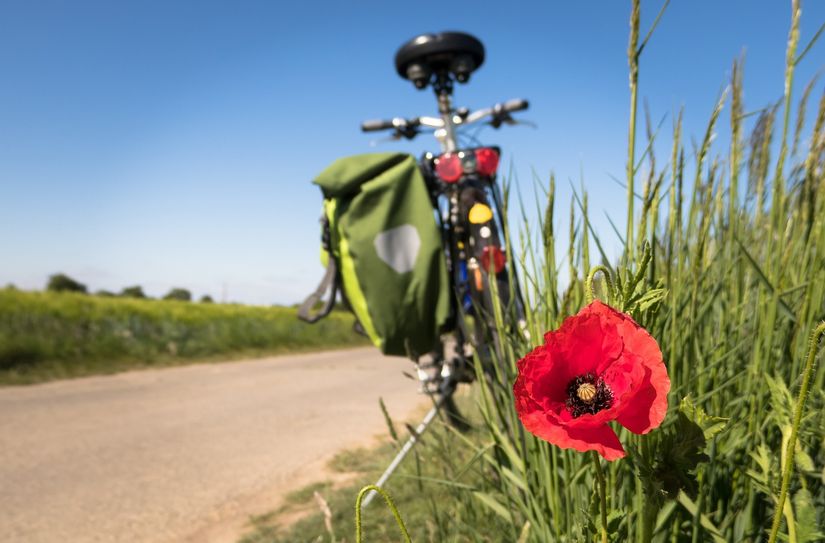 Wer ist auf dem Oder-Neiße-Radweg unterwegs und wie bewerten Radfahrer die Strecke? Das will der Landkreis Spree-Neiße jetzt genauer wissen.