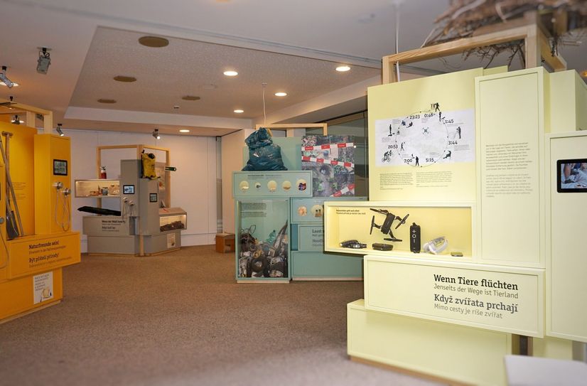 Blick in die Ausstellung im NationalparkZentrum Bad Schandau.