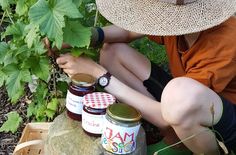Jetzt Früchte ernten, daraus leckere Marmelade kochen und bei er Jam-Session mitmachen.