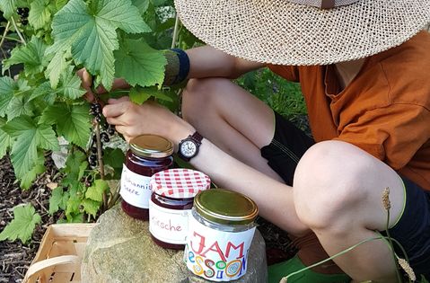 Jetzt Früchte ernten, daraus leckere Marmelade kochen und bei er Jam-Session mitmachen.