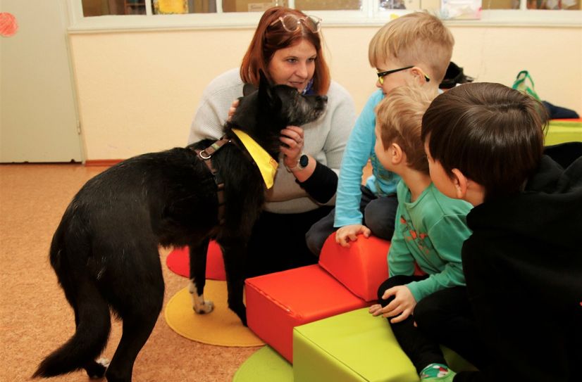 Fritz, Aaron und Bennet (v.r.) gehören zur Vorschulgruppe in der ASB-Kita "Rasselbande" in Radebeul und freuen sich jede Woche auf Nadja Helmer und Hündin Nukka vom ASB-Besuchshundedienst.